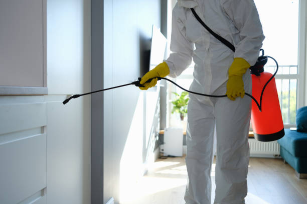 Best Attic Mold Removal  in Atlantic Beach, FL